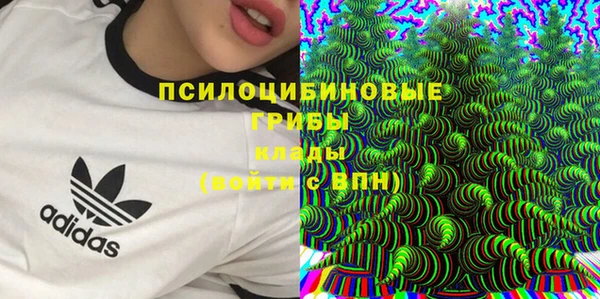 2c-b Абаза