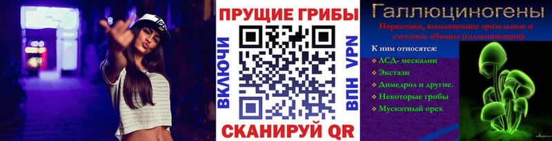hydra онион  Болохово  Псилоцибиновые грибы ЛСД  закладка 